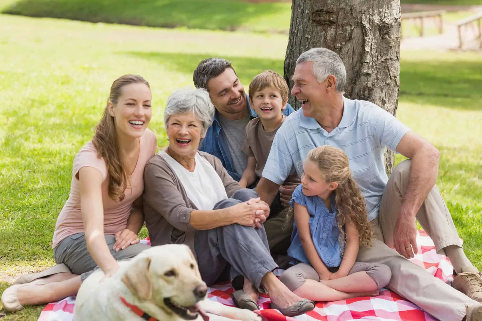 How can we have healthier family conversations?